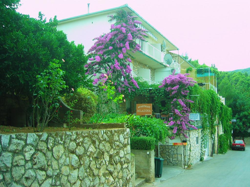 Villa Volga Jelsa  Εξωτερικό φωτογραφία